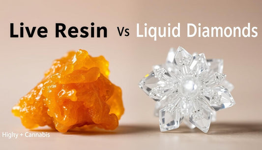 Live Resin vs Liquid Diamonds: A Complete Comparison