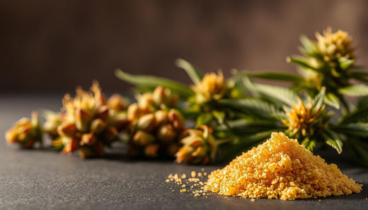 Kief: What It Is and How to Make It