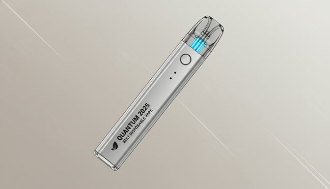 best_buy_disposable_vape_2025 - MUVATEGLOBAL