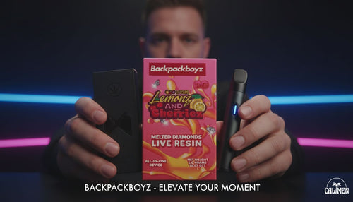 Backpack Boyz Disposable Vapes: The Ultimate Review