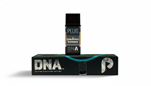 Best PlugPlay Pods: Full Lineup & Flavor Strain Profiles
