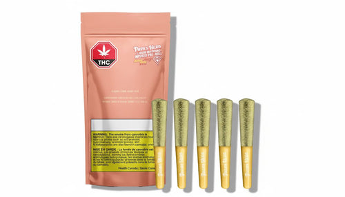 The 10 Best Pre-Roll Brands to Buy in [2024/2025]