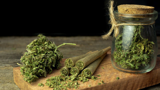 Blunt vs. Joint: 5 Key Differences You Should Know
