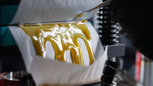 How to Press Kief Into Hash: A Simple Pressing and Usage Guide