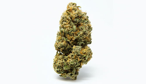 Sherbet Weed Strain Review: Flavor, Effects, and Growing Info