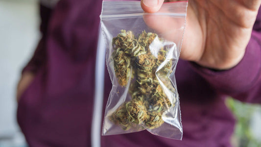 What is a Dub of Weed? Understanding Weight and Price