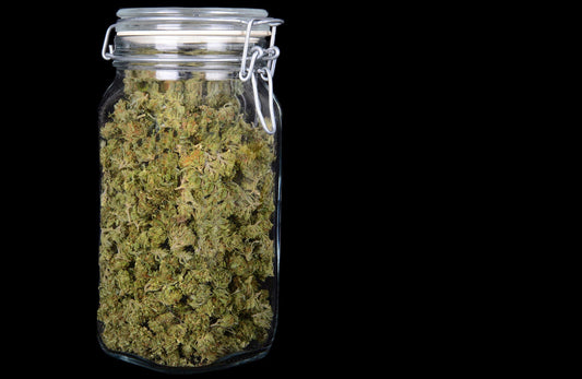 How Much is a QP of Weed - Price, Comparisons, and Visual Guide