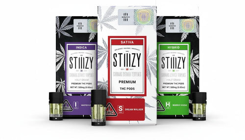 What is the Strongest Stiiizy Pod? Finding the Ultimate High MUVATEGLOBAL What is the Strongest Stiiizy Pod? Finding the Ultimate High MUVATEGLOBAL