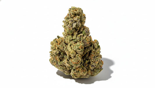 Why the Apples & Bananas Cannabis Strain is the Best Daytime Strain