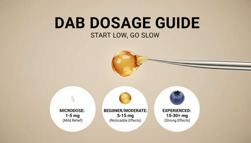 Dab Dosage Guide: Dab Size Chart For Different Cannabis Concentrates