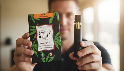 stiiizy disposable vape pen Shop Delta 9 Disposable Vape Pens main image 1