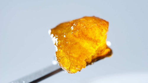 Live Resin vs. Liquid Diamonds: A Connoisseur's Guide