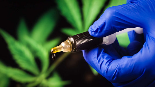 Rick Simpson oil (RSO) Cannabis: Product Types & What to Know