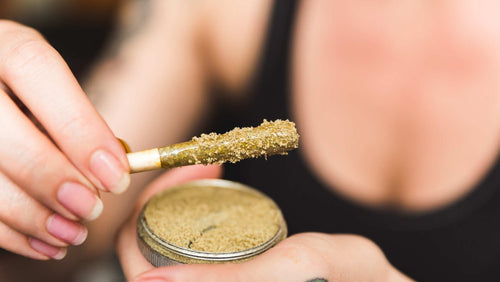 Kief: What It Is and How to Make It