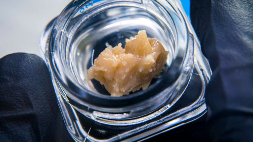 What is Live Rosin: How It Differs from Live Resin